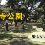 大阪の浜寺公園に気軽に出かけよう！ゴーカートがオススメ！